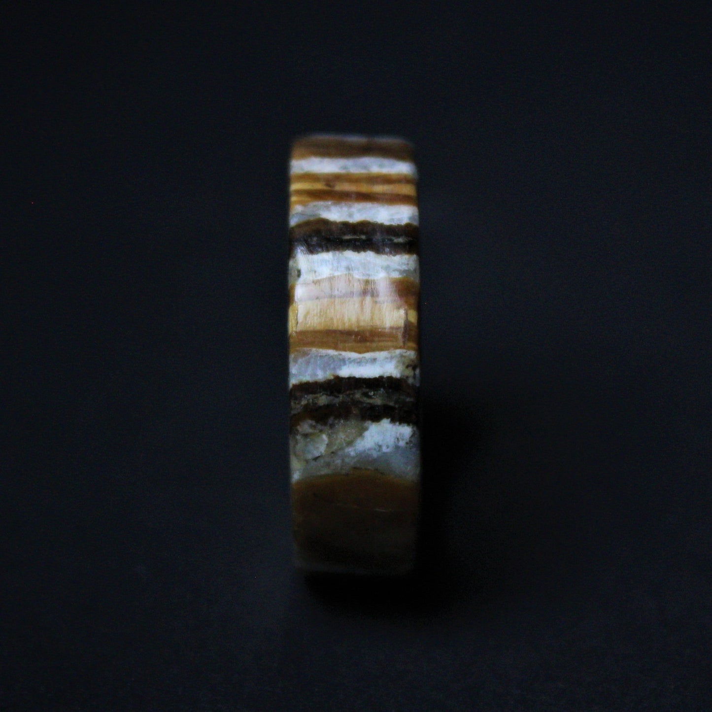 Mammoth Tooth Ring with Stainless Steel Core