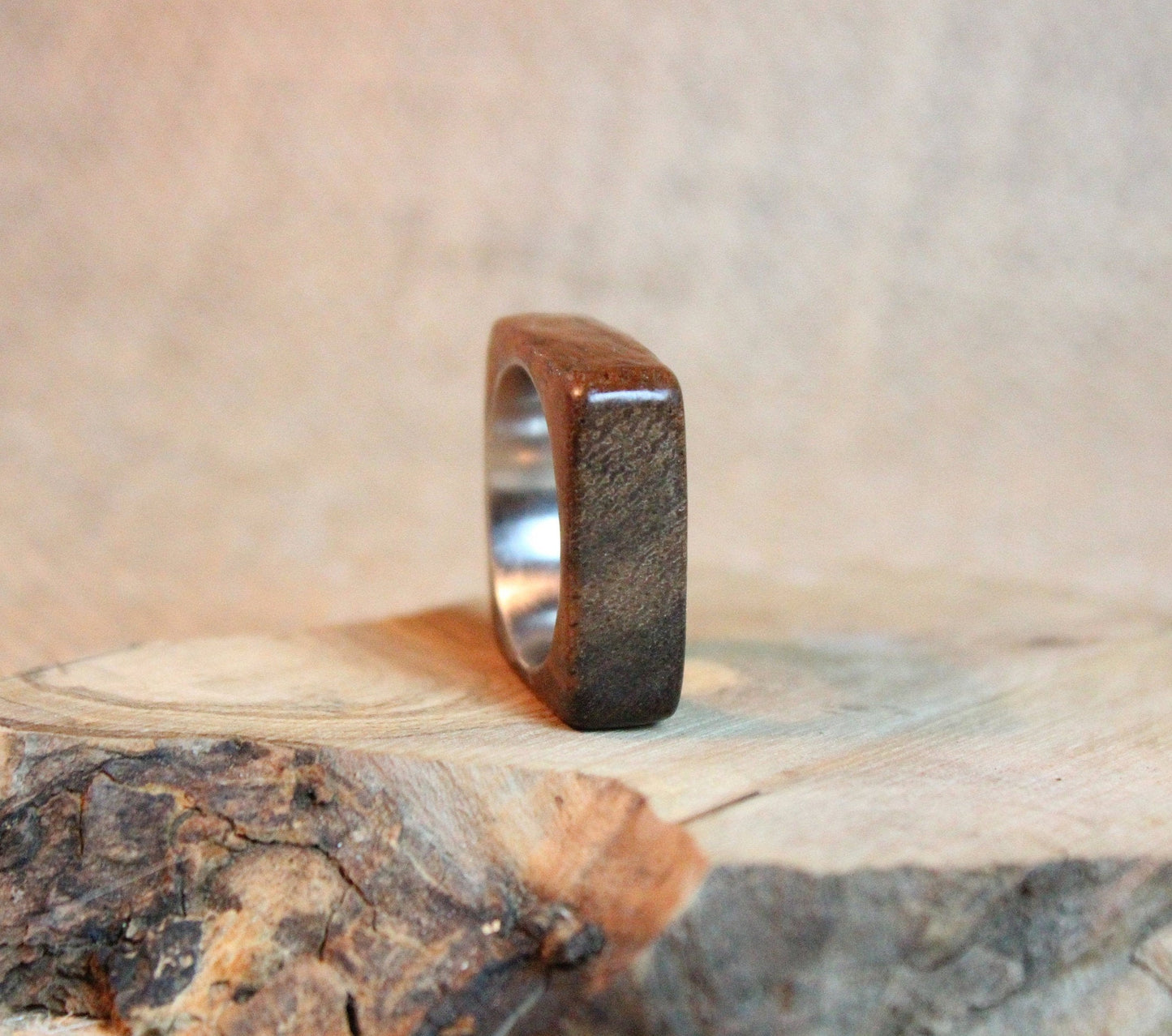 Mahogany and Stainless Steel Ring