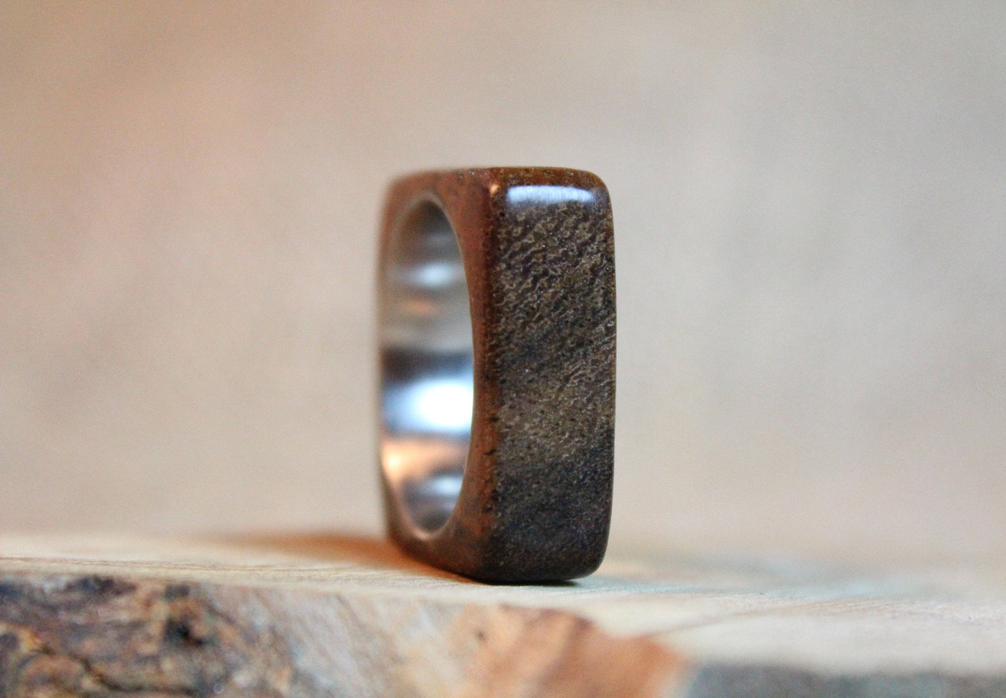 Mahogany and Stainless Steel Ring